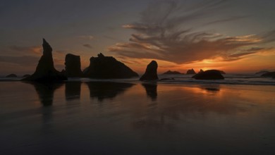 United States - Oregon - Bandon - Facerock Beach