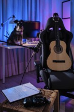 A cozy home studio with a guitar on a chair, a dog on the desk, and ambient purple and blue