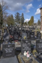 New graves at the Israeli cemetery, inaugurated in 1882, Werner-von Siemens Str. 2, Würzburg, Lower