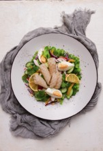 Salad of squid and vegetables, with egg, homemade, no people