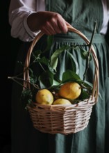 A close up of a wicker basket filled with fresh, ripe lemons, held by a person wearing a green