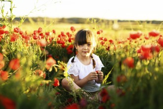 A charming young girl with braided hair sitting amongst blooming Papaver rhoeas, commonly known as