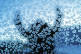A captivating silhouette behind a frosty glass in Swedish Lapland, showcasing intricate ice crystal