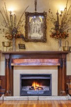 Ballsaal, Schornstein, Larnach Castle, Dunedin, Neuseeland