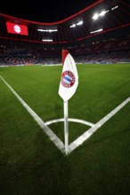 CL, Champions League evening, Allianz Arena, interior, corner flag, logo, scoreboard, pitch,