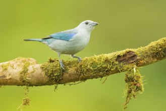 Naturfotografie Sylvia & Olaf Rentzsch