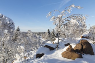 View from Großer Lugstein of the sunny winter landscape with snow-covered trees, bushes, trails and