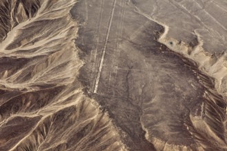 Geoglyphs and lines recorded on sandy soil from an elevated position, The geoglyphs and drawings in