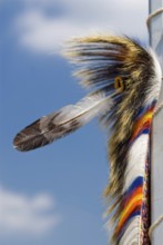 Indian jewellery with feather, POWOW, Indians, indigenous people, aborigines, tribe, USA