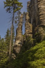 Adršpach-Teplice Rocks on a sunny day, Dolní Adršpach, 549 57 Adersbach, CZ