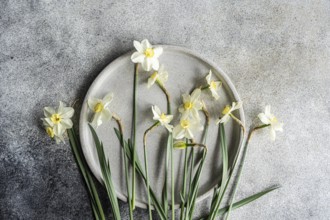 Top view of fresh white daffodils artistically arranged on a circular gray plate, set against a