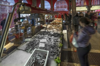 Fish market, rialto market in the San Polo district, Venice, Veneto, Italy