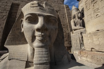 Luxor, Egypt. February 12th 2009 Luxor Temple Pharaonic inscriptions at the ancient Egyptian ruins