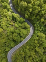 Winding country road through a forest, Swabian Alb in spring, drone photo, Gutenberg, Lenningen,