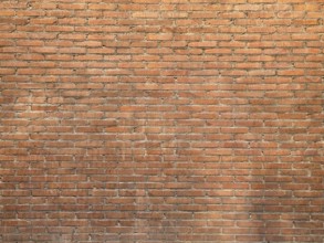 A detailed image of a red brick wall showcasing uniform brickwork and mortar lines. The texture and