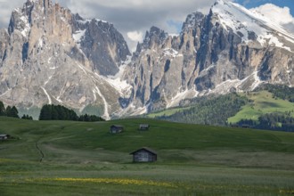Charming wooden huts scattered across lush green meadows in Alpe di Siusi, with the dramatic peaks