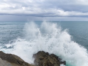 A dramatic scene as powerful waves collide with rugged rocks under a brooding sky, epitomizing the