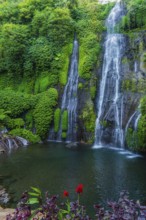 Banyumala twin waterfalls, waterfall, jungle, rainforest, water, nature, botany, holiday, paradise,