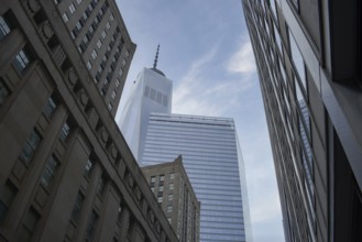An upward angle captures the iconic silhouette of the One World Trade Center amid surrounding