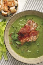 Green mashed soup, with bacon and croutons, homemade, no people