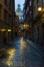 Houses in an alley of Gamla Stan, old town, centre, attraction, famous, city centre, city trip,