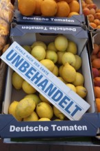 Untreated Lemons at a marketstall, Hanover, Lower Saxony, Germany, Europe, unbehandelte Zitronen an