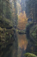 Log house and flowing water with ferns and rocks in the Edmunds Gorge in autumn. River Kamnitz,