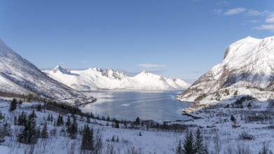 Snow-covered mountains surround a serene fjord under a clear blue sky in Mefjordbotn, Norway. The