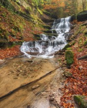 The back waterfall of the Hörschbach in autumn, Hörschbachtal, Hörschbachschlucht,
