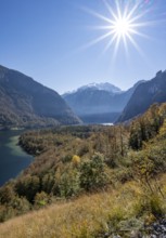 View of the Königssee from the Rinnkendlsteig mountain hiking trail, autumnal forest and