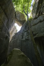 Trapped boulder in the Jardin du Roi, Grés d'Annot sandstone labyrinth hike,
