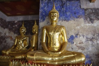 Bangkok, Thailand. February 20th 2025. A beautiful display of seated golden Buddha statues at the