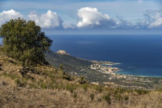 The village of Algajola and the coast seen from above, Balagne, Corsica, France