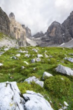 Cliffs and pinnacles in fog, Brenta Mountains, Brenta-Adamello Natural Park, Trentino, Italy