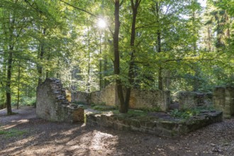 Romantic ruin of the Barbara Chapel in the Dippoldiswald Heath, Saxony, Germany