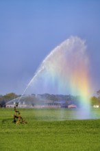 Artificial irrigation of a cereal field in April, with a sprinkler system, long dry spell in spring