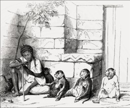 Monkey dealer, Cairo, Egypt, 19th Century