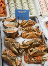 Fresh crabs and other seafood on ice presented on a market stall, fish market, Trouville-sur-Mer,