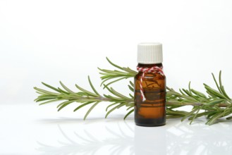 Rosemary oil in bottle and rosemary zest, medicinal plant
