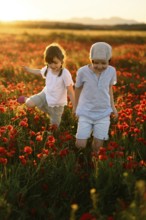 A young boy and girl, siblings, joyfully play in a vibrant field of Papaver rhoeas, commonly known