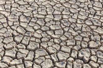 Cormorant Point, Galapagos, Ecuador