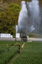 Artificial irrigation of a cereal field in April, with a sprinkler system, long dry spell in spring