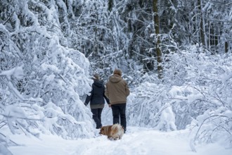 Two woman taking a walk with a dog through a snowy forest, winter, snow, Sieversen, Samtgemeinde
