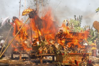 Wadah, the sacred magnificent animal, is the transport vehicle to transport the soul of the