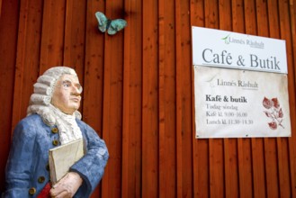 Wooden statue of botanist and founder of the binary nomenclature Carl von Linné with white hair and