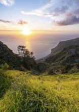 Evening mood, green coastal landscape on a steep cliff at sunset, sea and coast, viewpoint