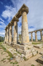 Columns of the Doric Temple of Hera, archaeological site site of Metaponto, Bernalda, Basilicata