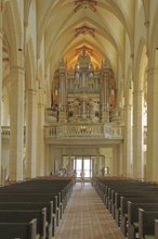View of the organ of the Gothic Predigerkirche, interior view, gallery, Erfurt, Thuringia, Germany