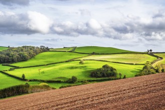 Colours of Devon Farms and Fields over Paignton and Berry Pomeroy, Totnes, England, United Kingdom