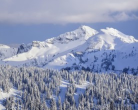 The Tatoosh Range in Mount Rainier National Park glows under late afternoon light, with freshly